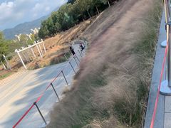 -牛岗山公园