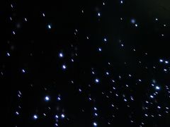 -侵华日军南京大屠杀遇难同胞纪念馆