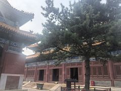 -清西陵