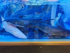 -花千代秘制烤鱼(曼哈顿店)