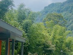 -沐川竹海旅游景区