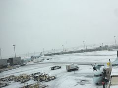 -蒙特利尔皮埃尔·埃利奥特·特鲁多国际机场