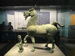 -广西壮族自治区博物馆