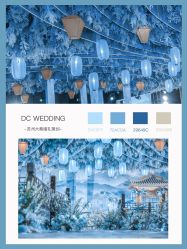 -DC大蔡婚礼策划(李公堤店)