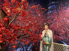 -武汉杜莎夫人蜡像馆