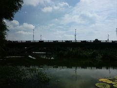 -长广溪湿地公园