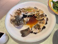 -博雅渔港·融合菜(维也纳国际大酒店)