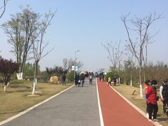 -上海长兴岛郊野公园