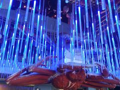 -蟹之国·精品蟹料理(极地店)