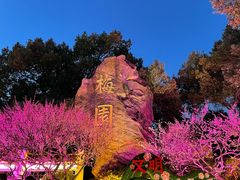 -无锡梅园公园