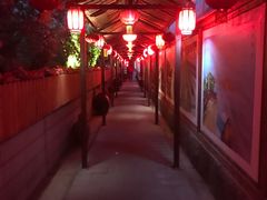 -窄巷子陕菜馆·地道陕西菜(粉巷店)