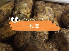 -菌之家·专业纯野生菌火锅·特色炒菌