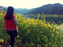 -新安江山水画廊风景区