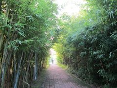 -顺德职业技术大学