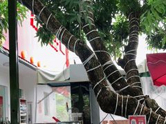 -琼大师东方烤乳猪(亚特兰蒂斯店)