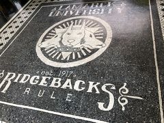 -富国岛翡翠湾 JW 万豪度假酒店