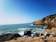 -广东惠东海龟国家级自然保护区