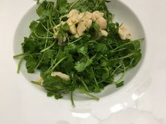 -邓丽君音乐主题餐厅