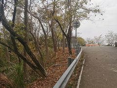 -风云岭森林公园