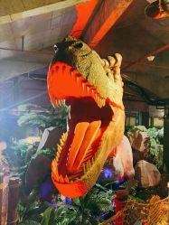 点击看大图 -恐龙探索乐园(磁器口店)