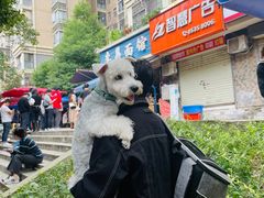 -李易面馆(树木岭店)