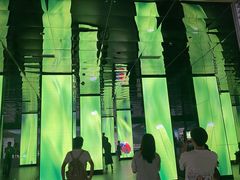 -中国湿地博物馆