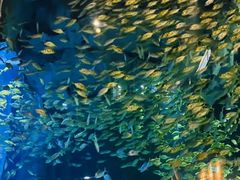 -成都浩海立方海洋公园