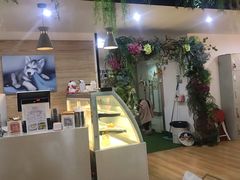 -Husky Go! 哈士奇体验馆·宠物咖啡厅狗咖
