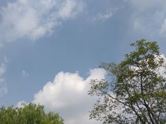 -梁鸿国家湿地公园
