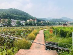-红山村