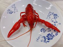 -袁老大龙虾(石鼓路总店)