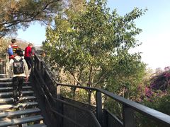 -梅峰山地公园
