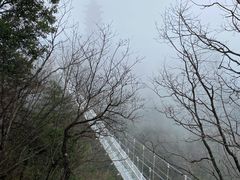 -塔云山