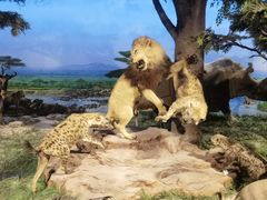 -国家自然博物馆