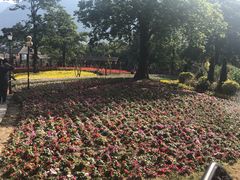 -广州市流溪河国家森林公园