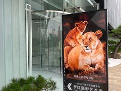 -罗红摄影艺术馆