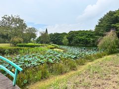 -顺峰山公园