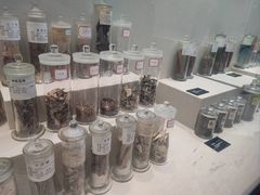 -广东中医药博物馆