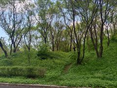 -黑龙江省森林植物园