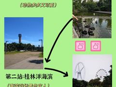 -海口火山口国家地质公园