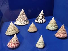 -金沙遗址博物馆