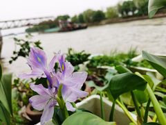 -丝绸小镇荻港古村