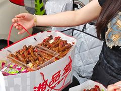 -郴州特产舜华临武鸭(郴州西站店)