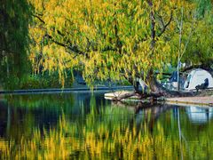 -上海共青森林公园