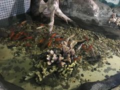 -苏州海洋馆