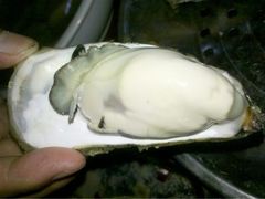 大大的海蛎子-威海海鲜王(窑头路店)