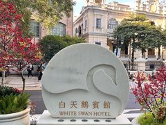 -白天鹅宾馆-玉堂春暖餐厅