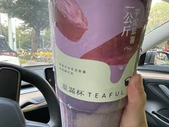 -星满杯TEAFUL(罗湖东门店)