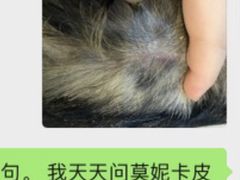 -佳雯宠物医院(金华南路分院)