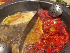 -蜀大侠火锅(总府路店)